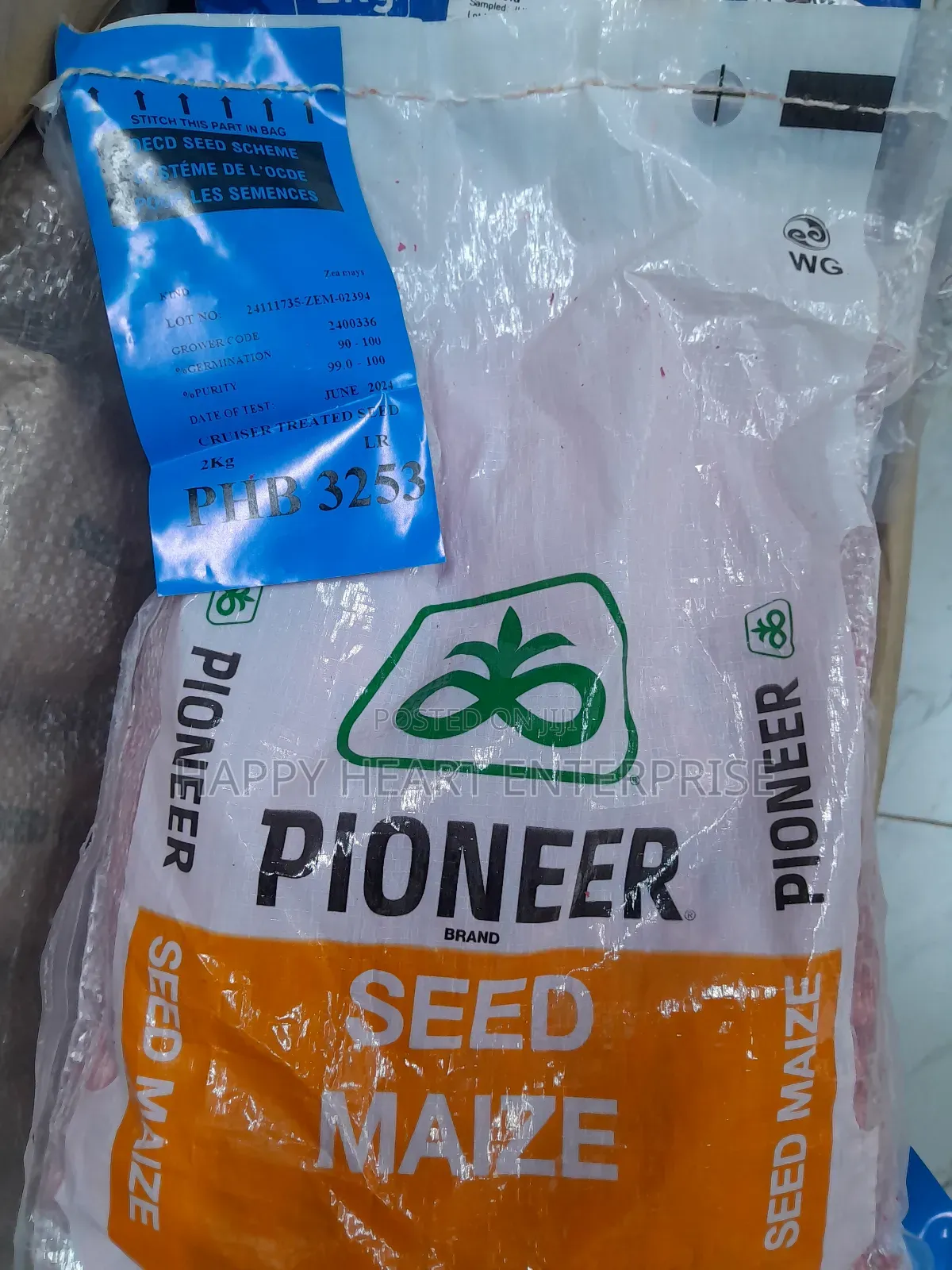 Pioneer 3253 Maize Seed 2kg