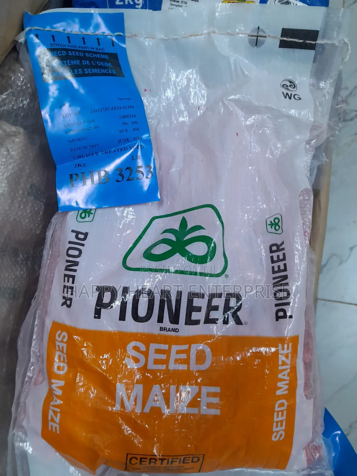 Pioneer 3253 Maize Seed 2kg