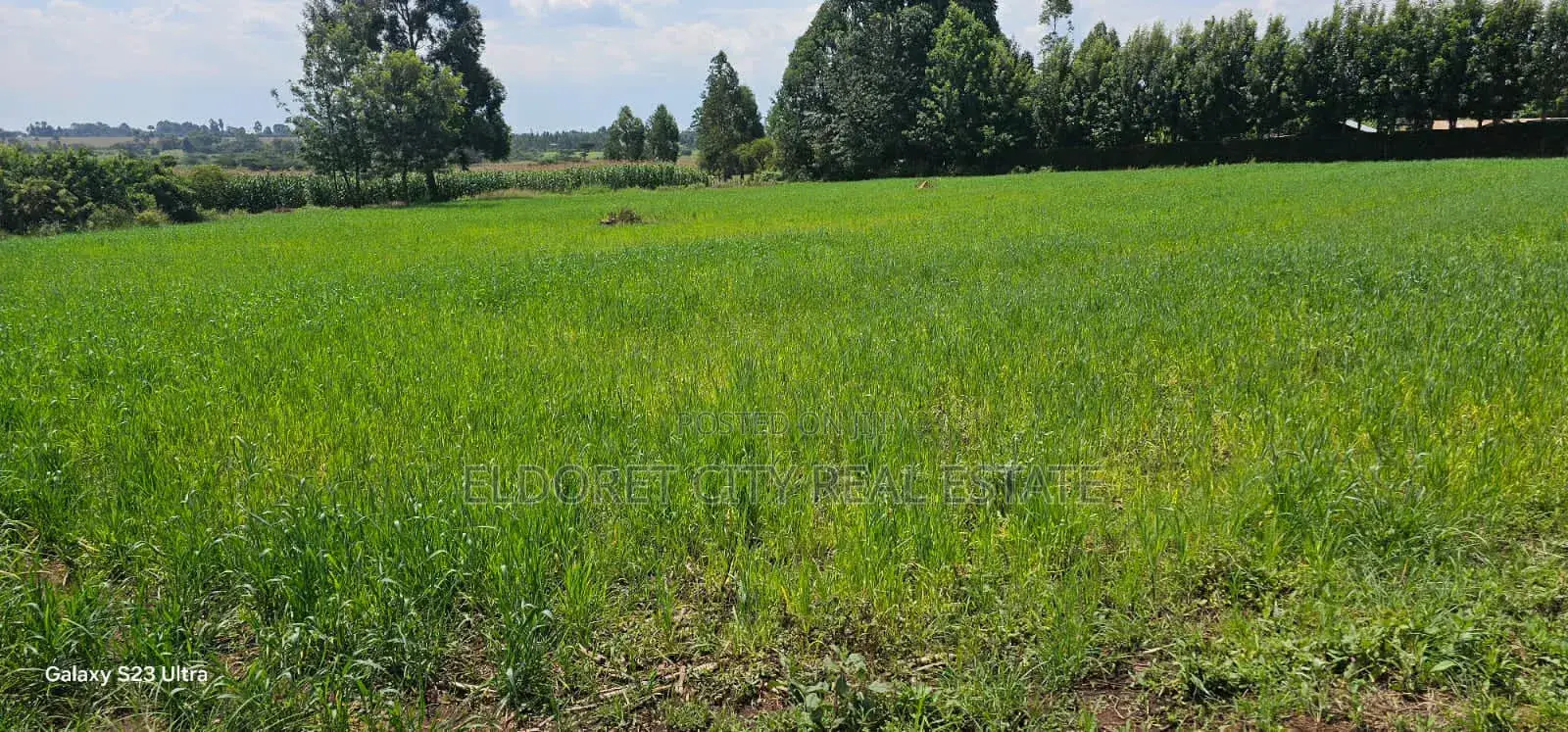20 Acres Kabenes Good for Agricultural Use