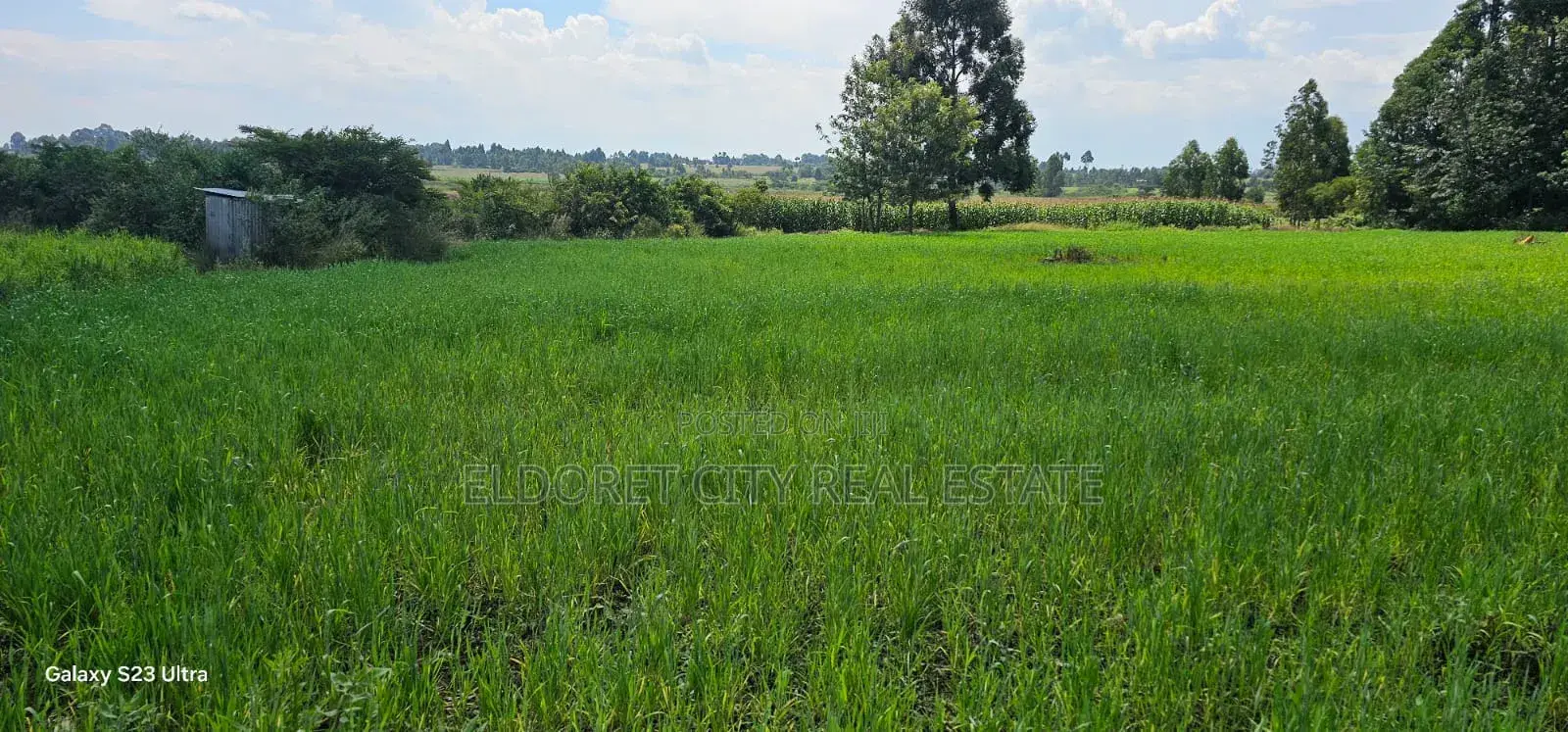 20 Acres Kabenes Good for Agricultural Use
