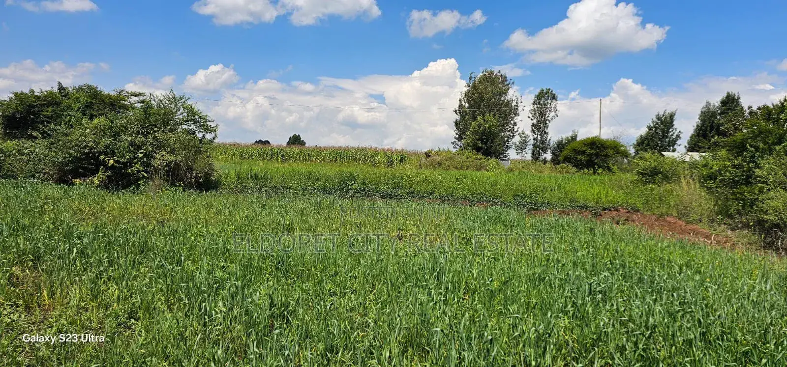 20 Acres Kabenes Good for Agricultural Use