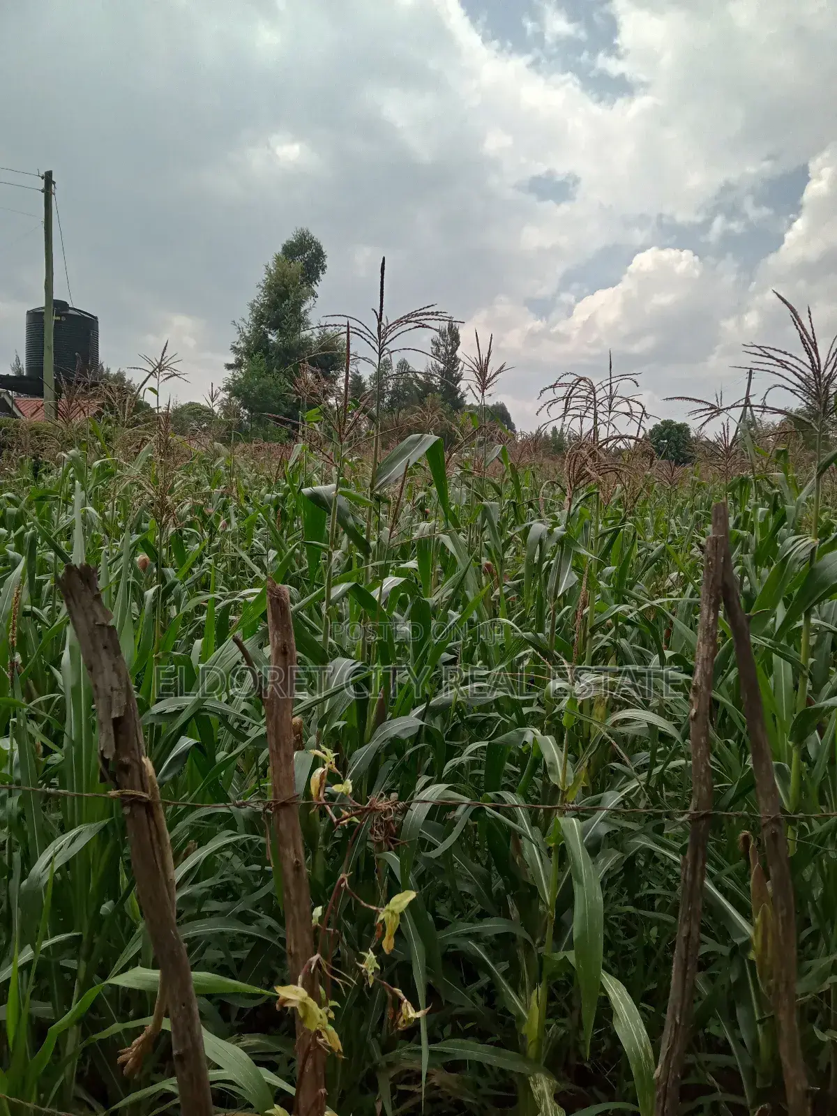 1/4 Plot Blossom Annex Ideal for Residential