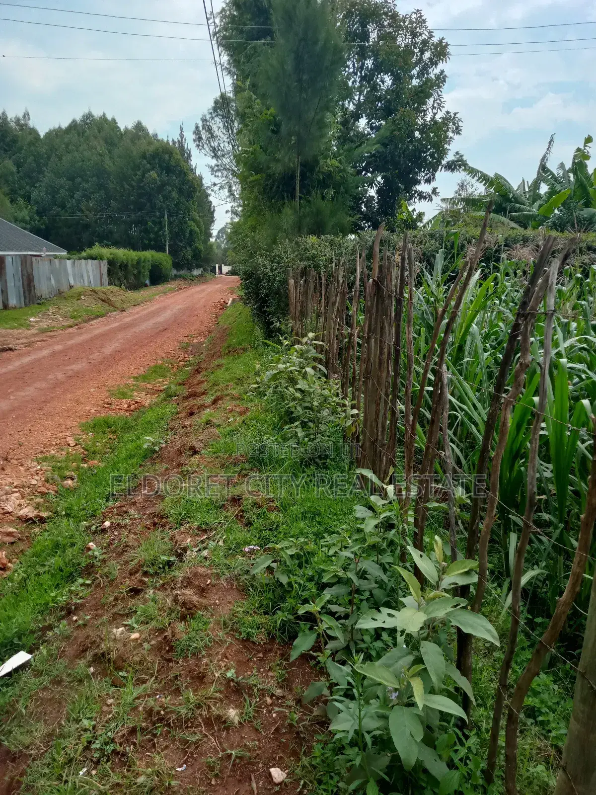 1/4 Plot Blossom Annex Ideal for Residential