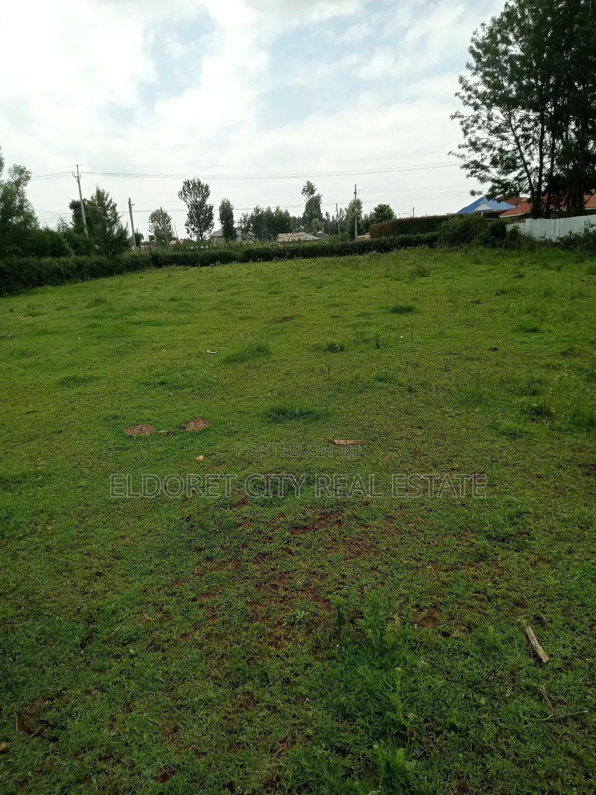 1/4 Touching Feeder Tarmac Blossom Ideal for Home