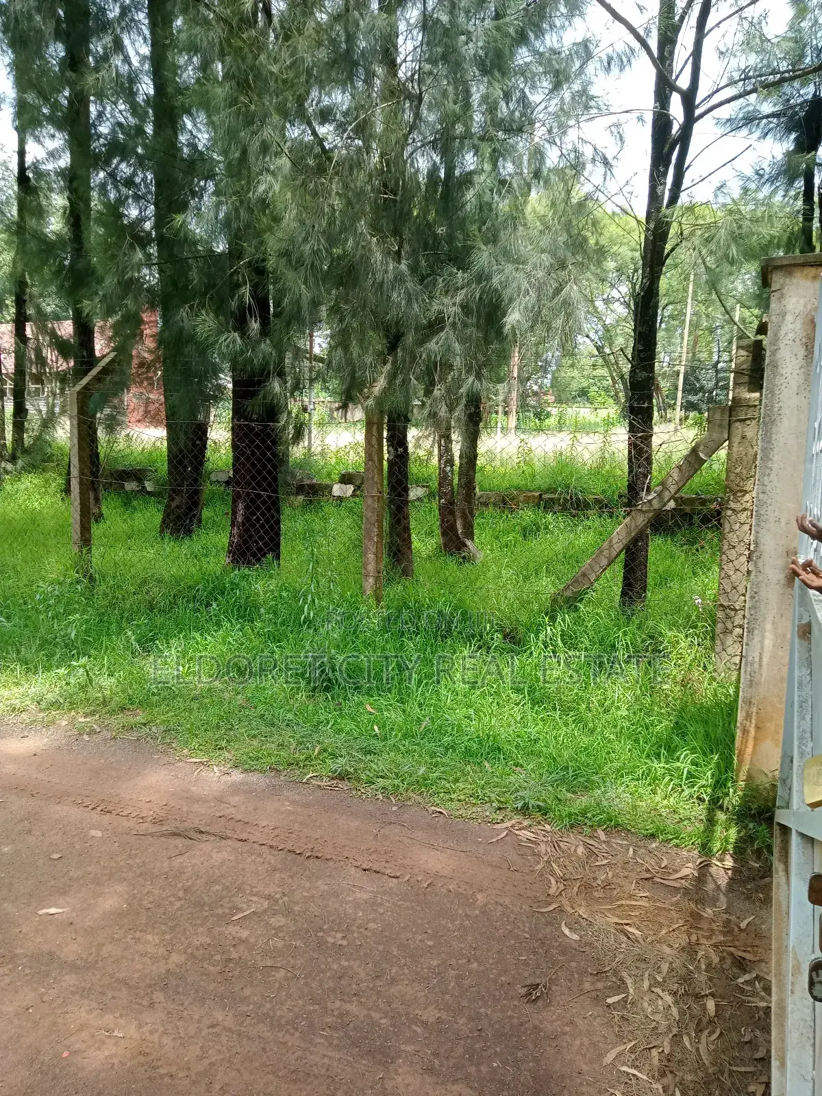 1/2 Acre Lower Elgonview Near Boma Inn Hotel