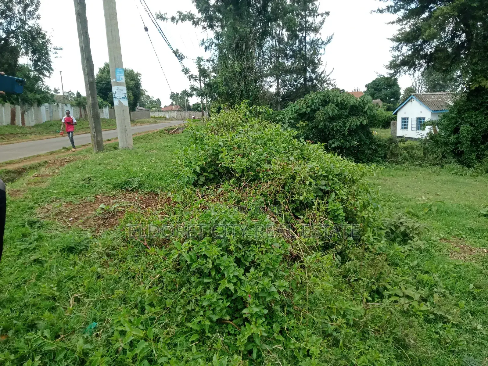 1/2 Acre West Indies Ideal for Rental Investment