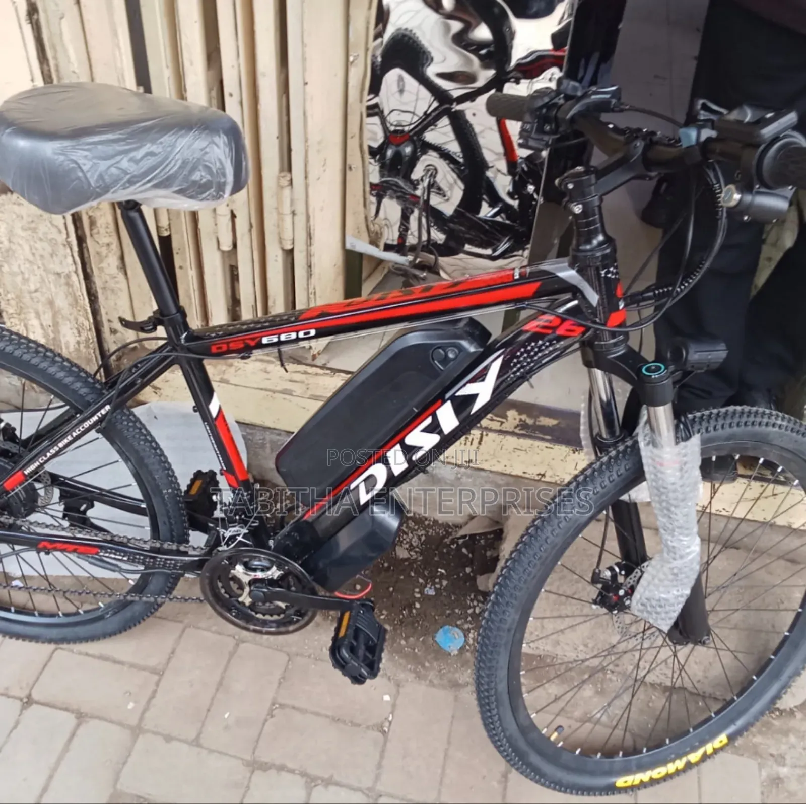 Electric Bike