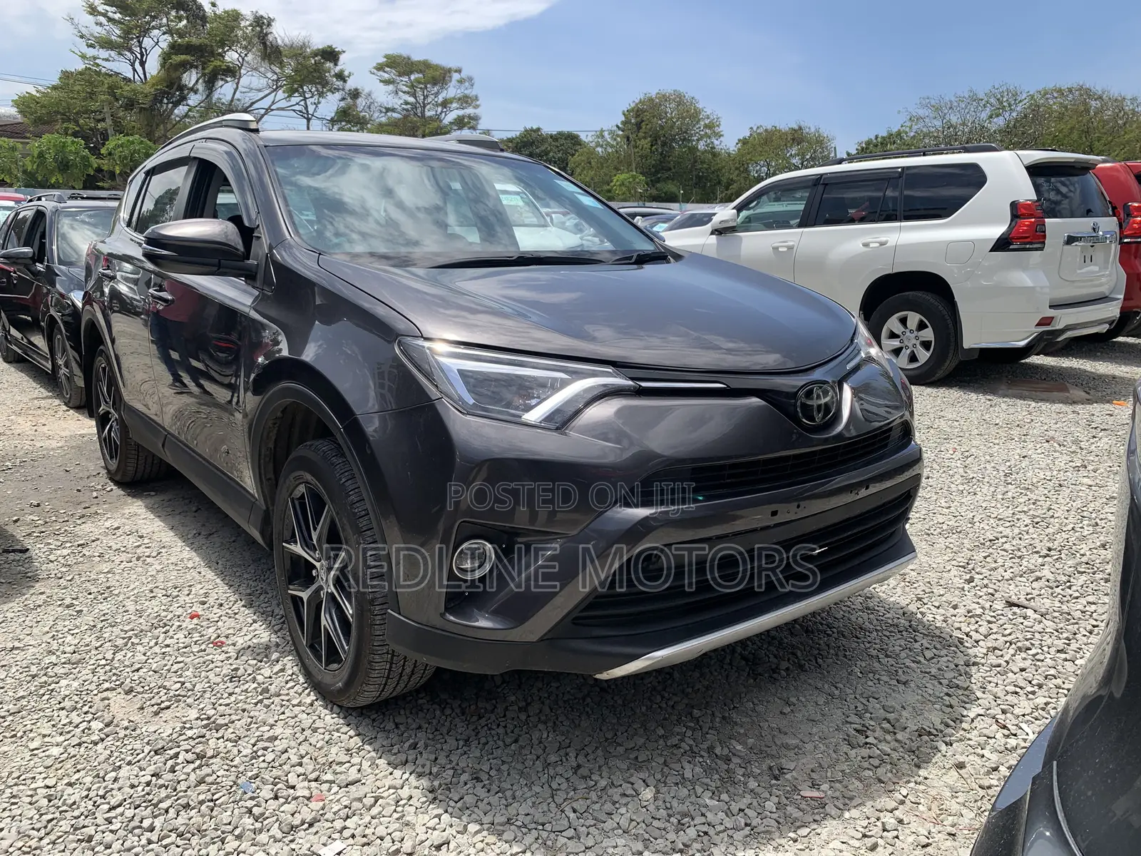 Toyota RAV4 SE AWD (2.5L 4cyl 6A) 2016 Gray