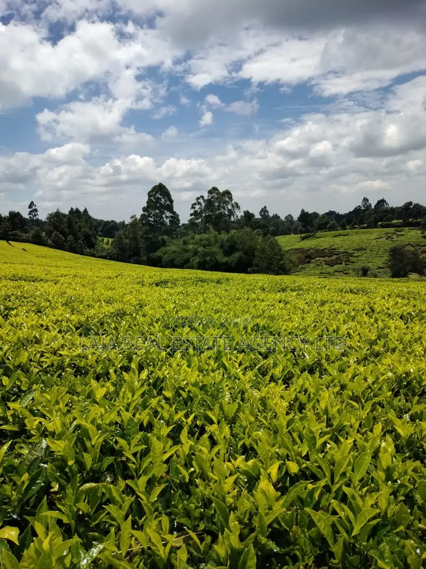 Limuru Farm 3.5 Acres Sale