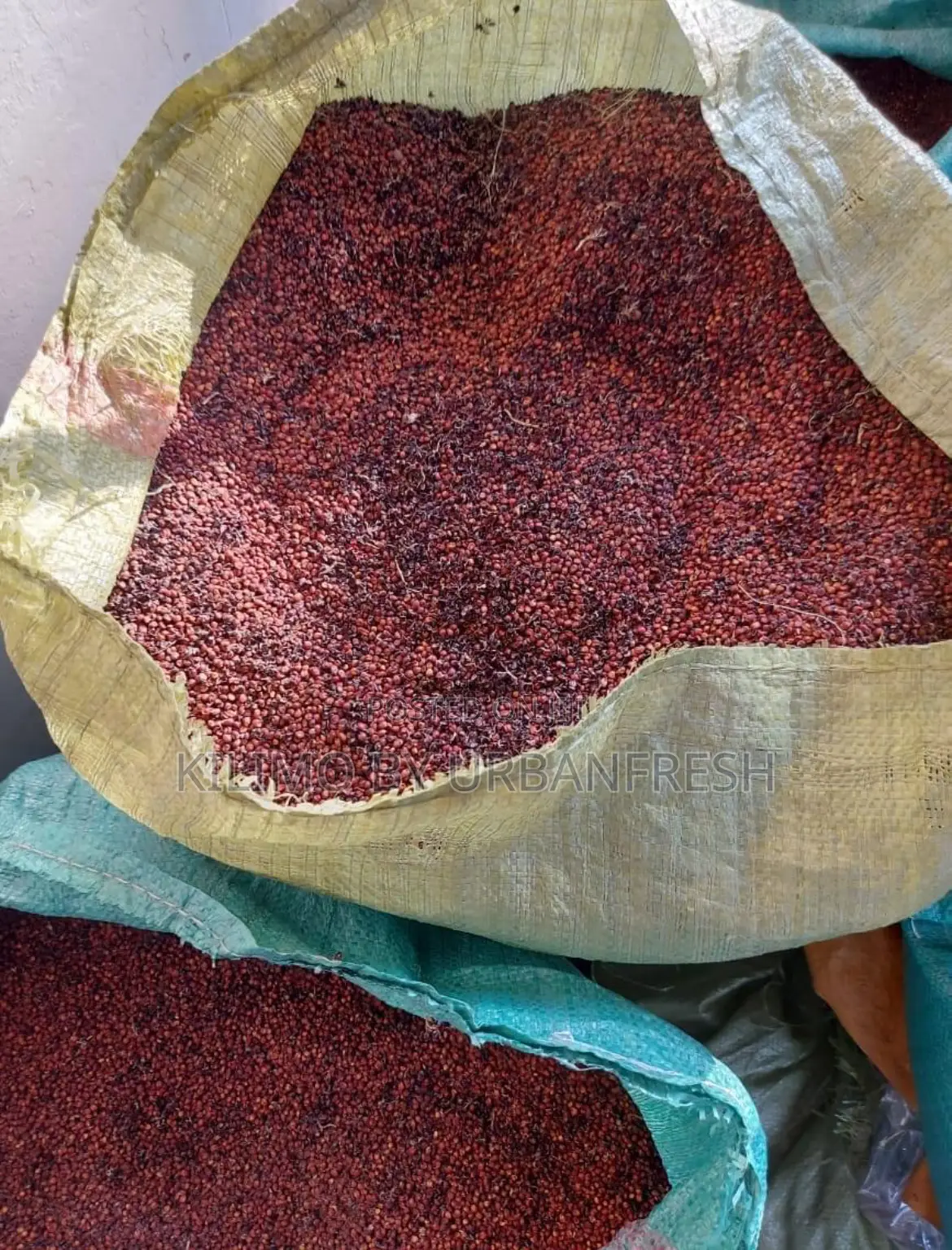 Red Sorghum Seeds 1 Kg