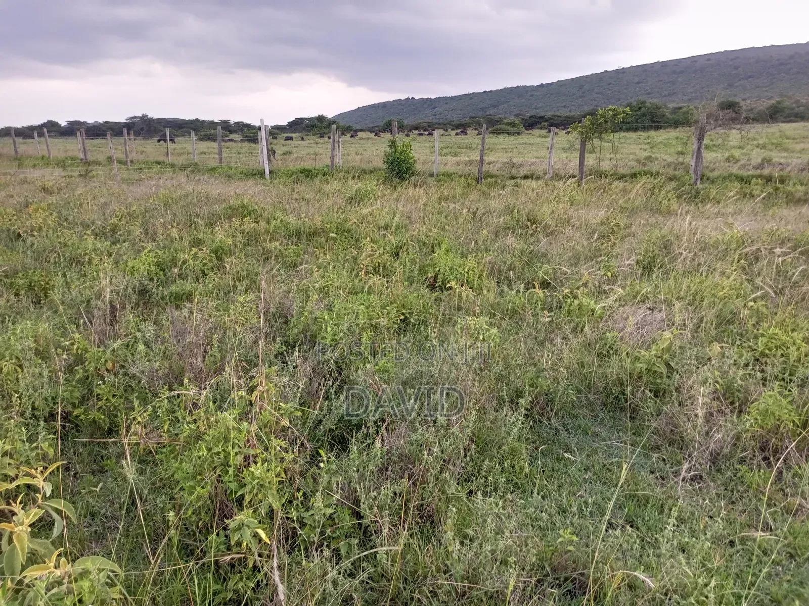 Plot for Sale in Pipeline Near Game Park