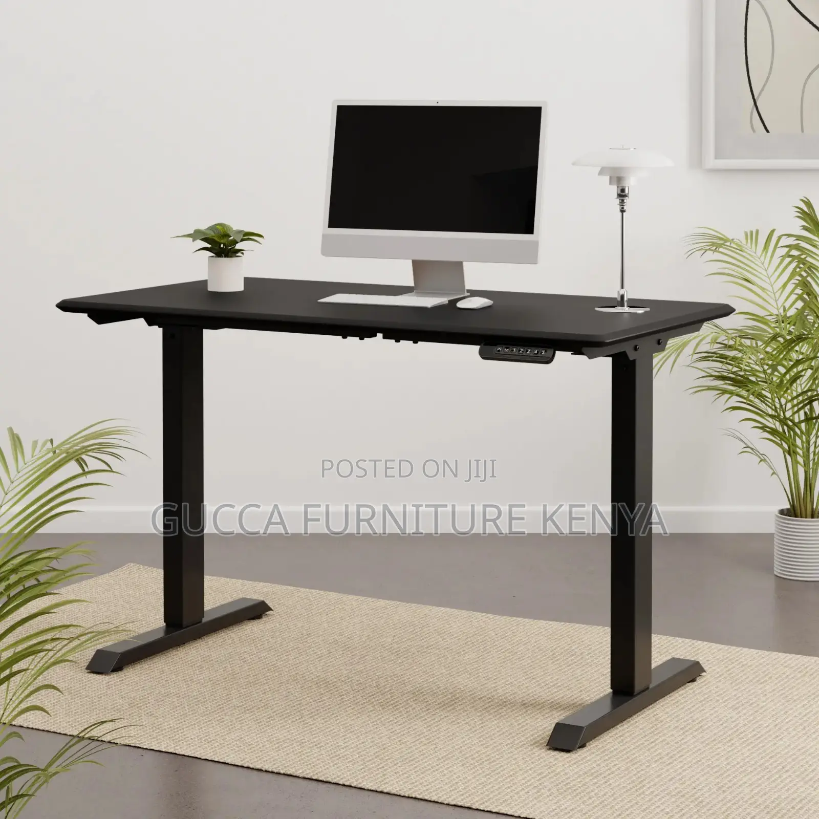 Adjustable Height Electric Standing Desk 48 X 24 Inch