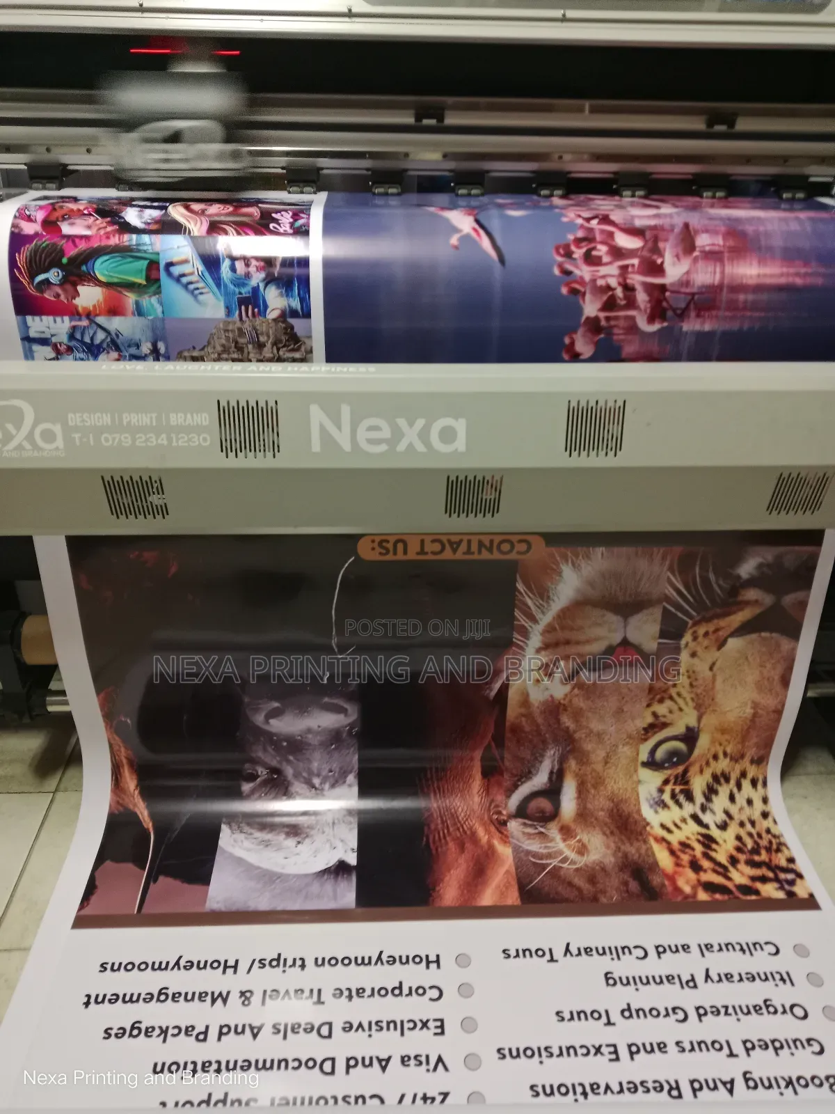 High Quality One Way Window Graphics
