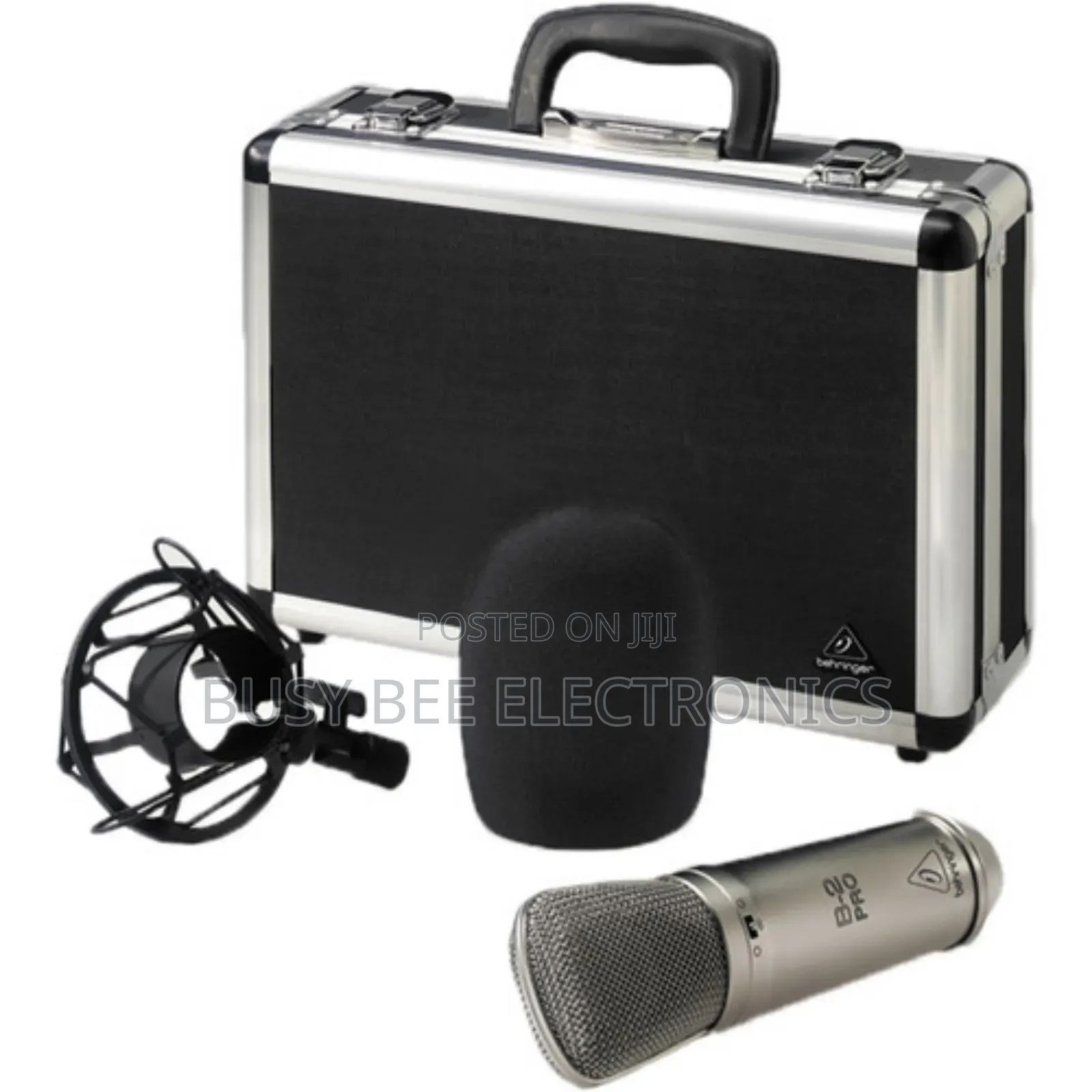 B-2 Pro Large Diaphragm Multi-Pattern Studio Microphone