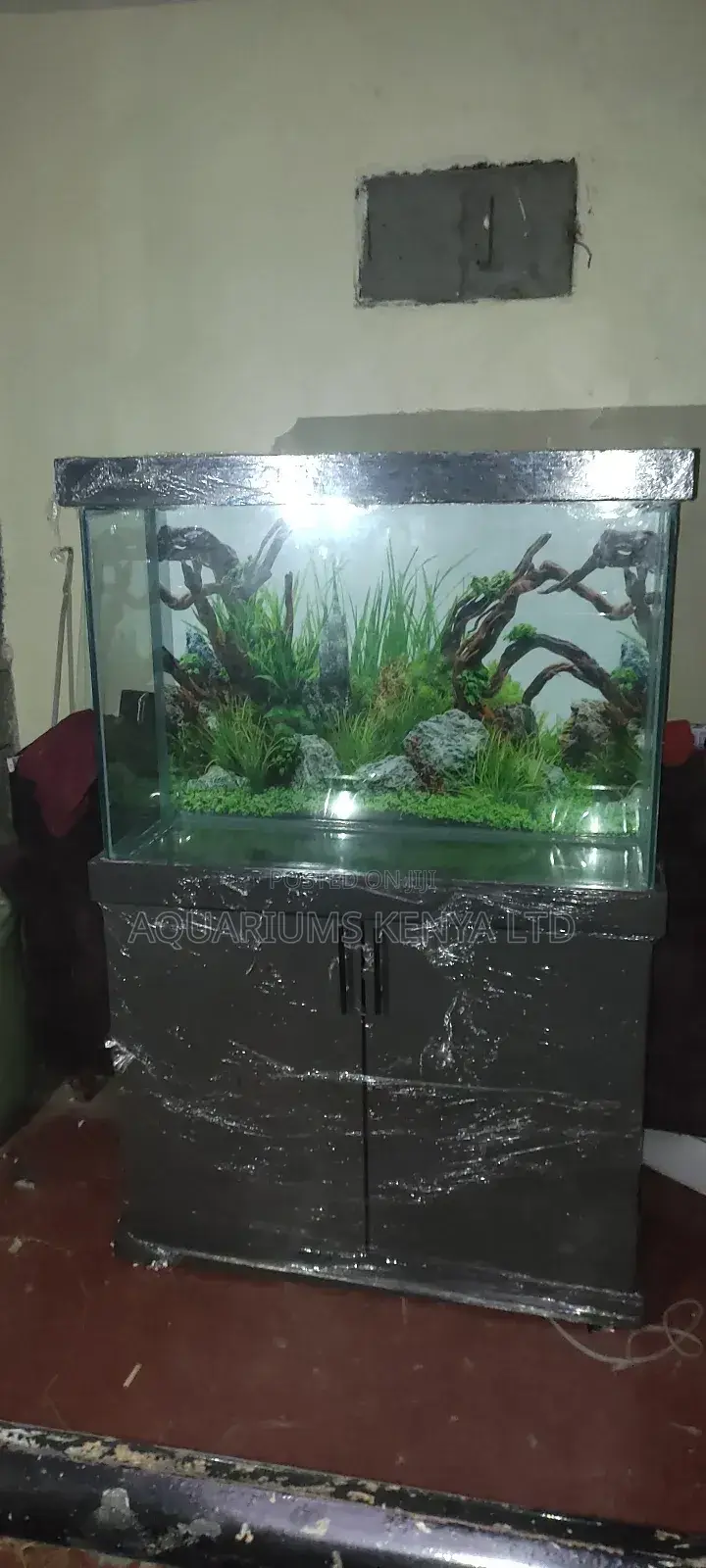 Aquarium - Aquarium With Stand