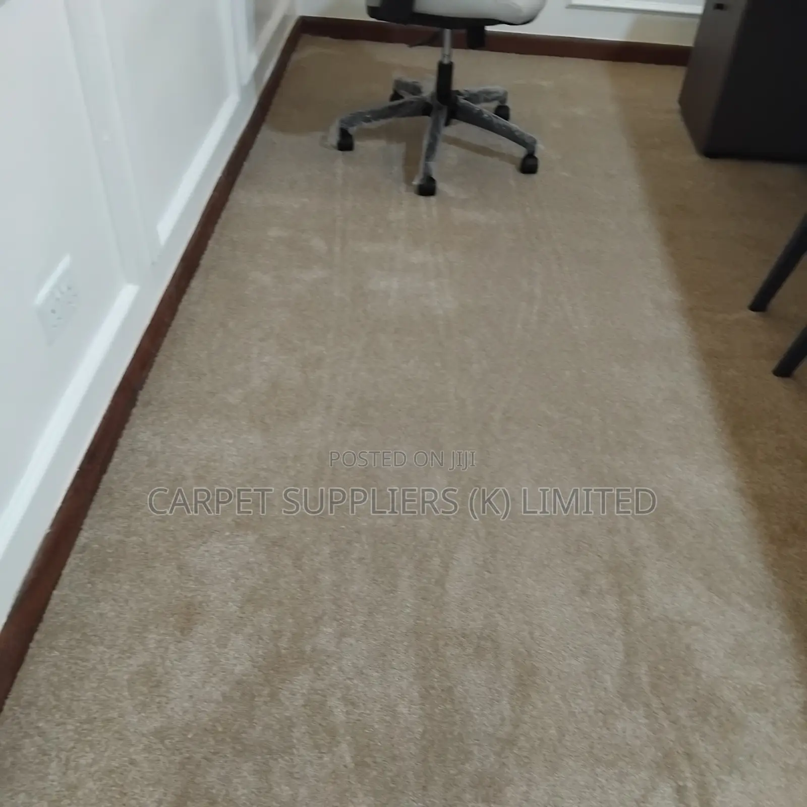Beige Carpet Executive LM