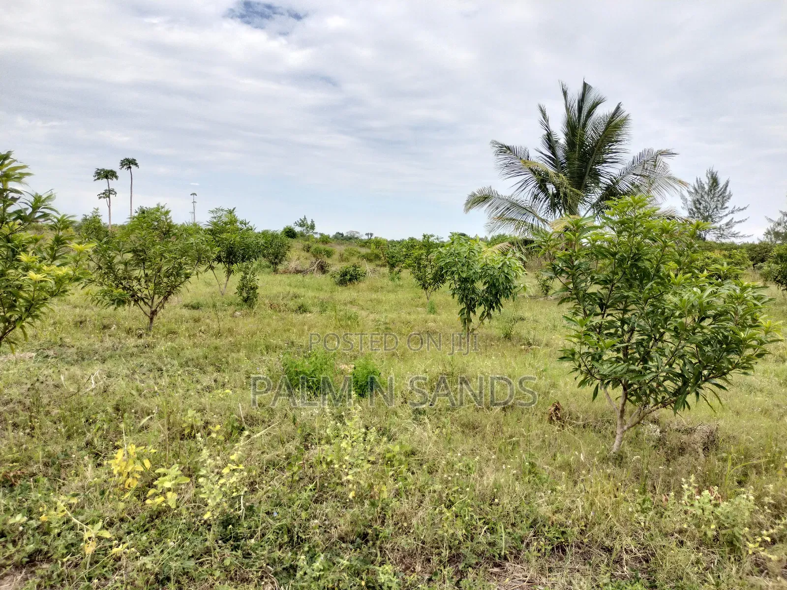 Tswaka Farm on Sale