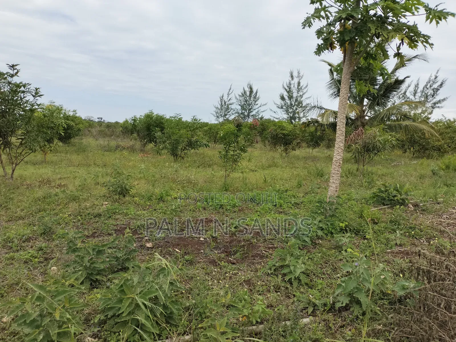 Tswaka Farm on Sale