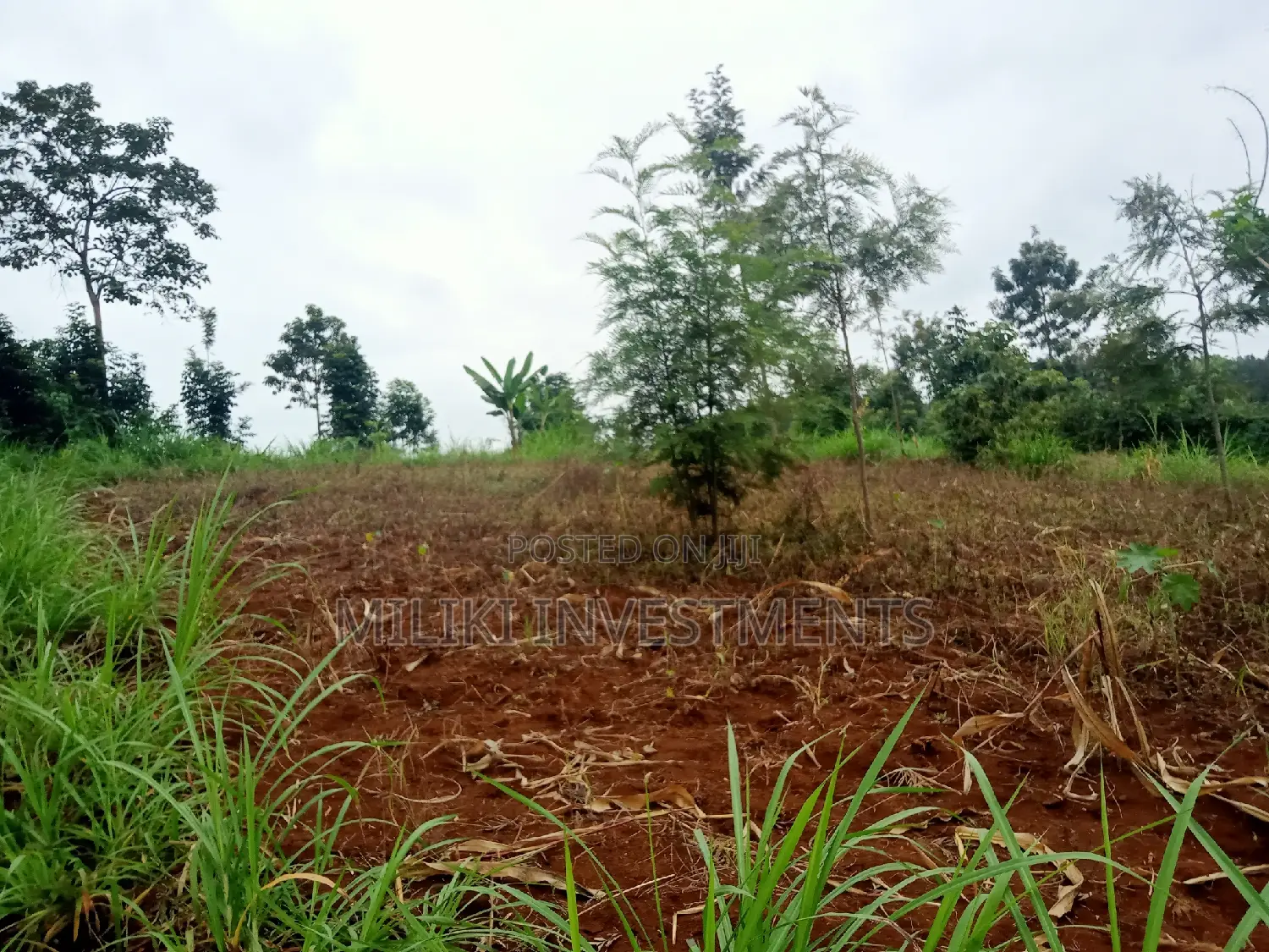 Acre of Land on Sale at Maragua