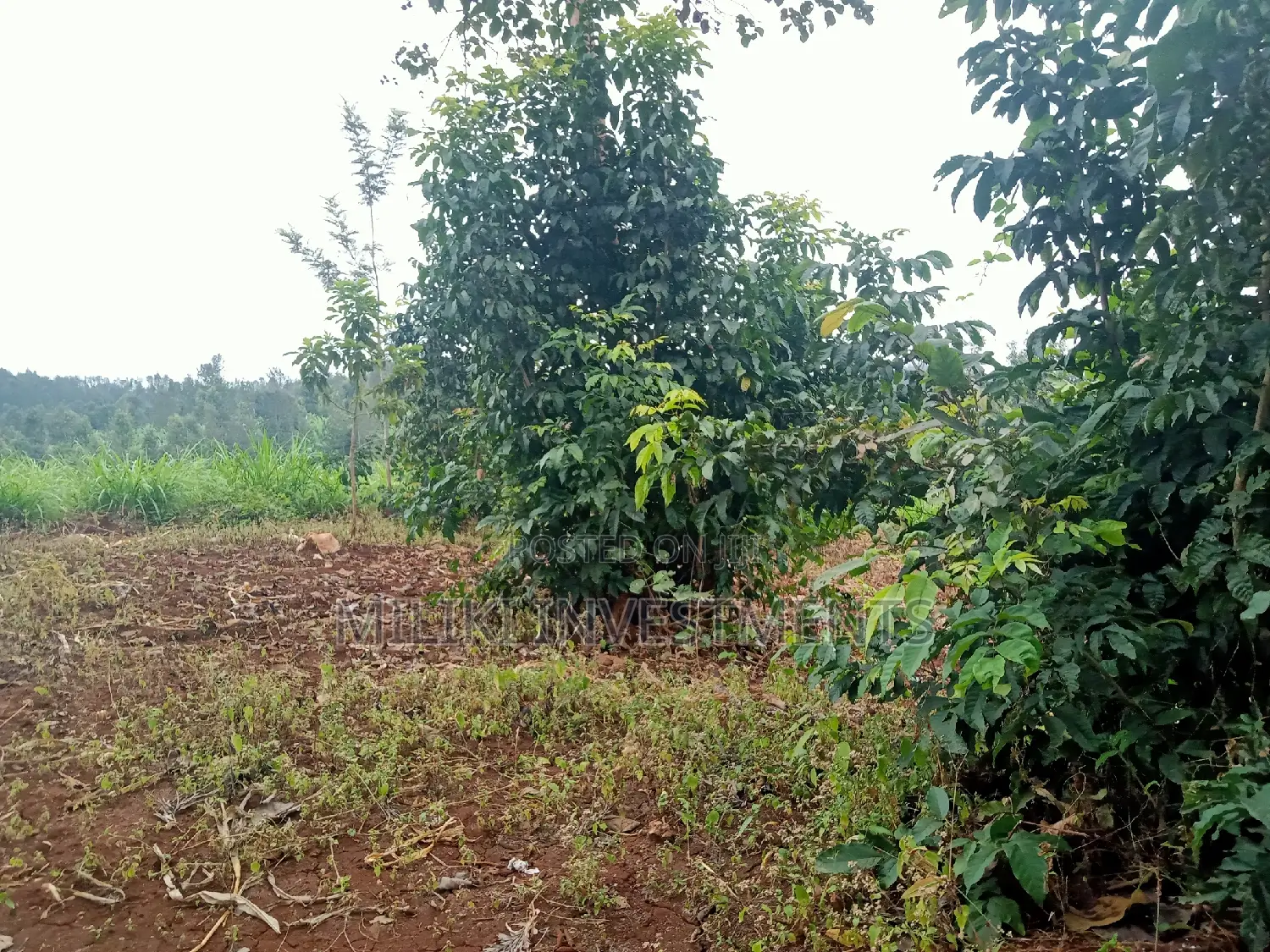 Acre of Land on Sale at Maragua