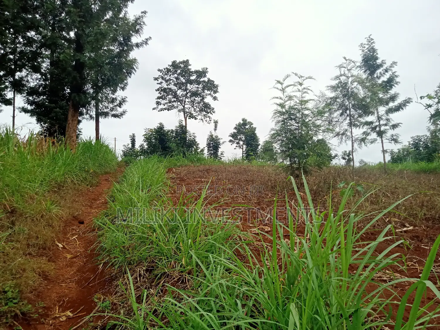 Acre of Land on Sale at Maragua