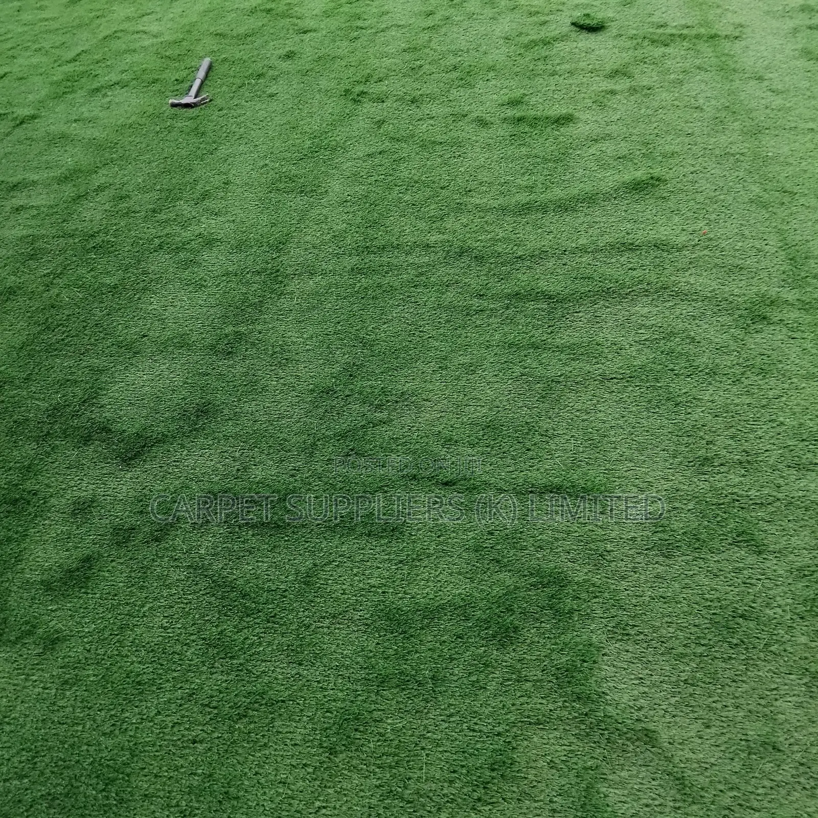 Grass Carpet21