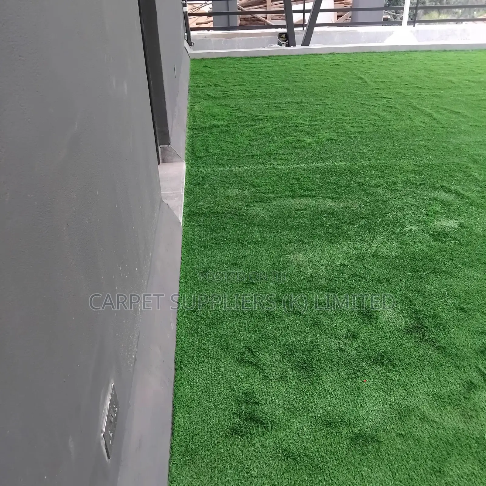 Grasscarpet25