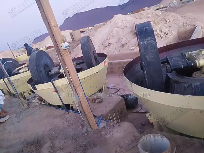 Low Investment Gold Seperating Machine Two Gold Roller Wet P