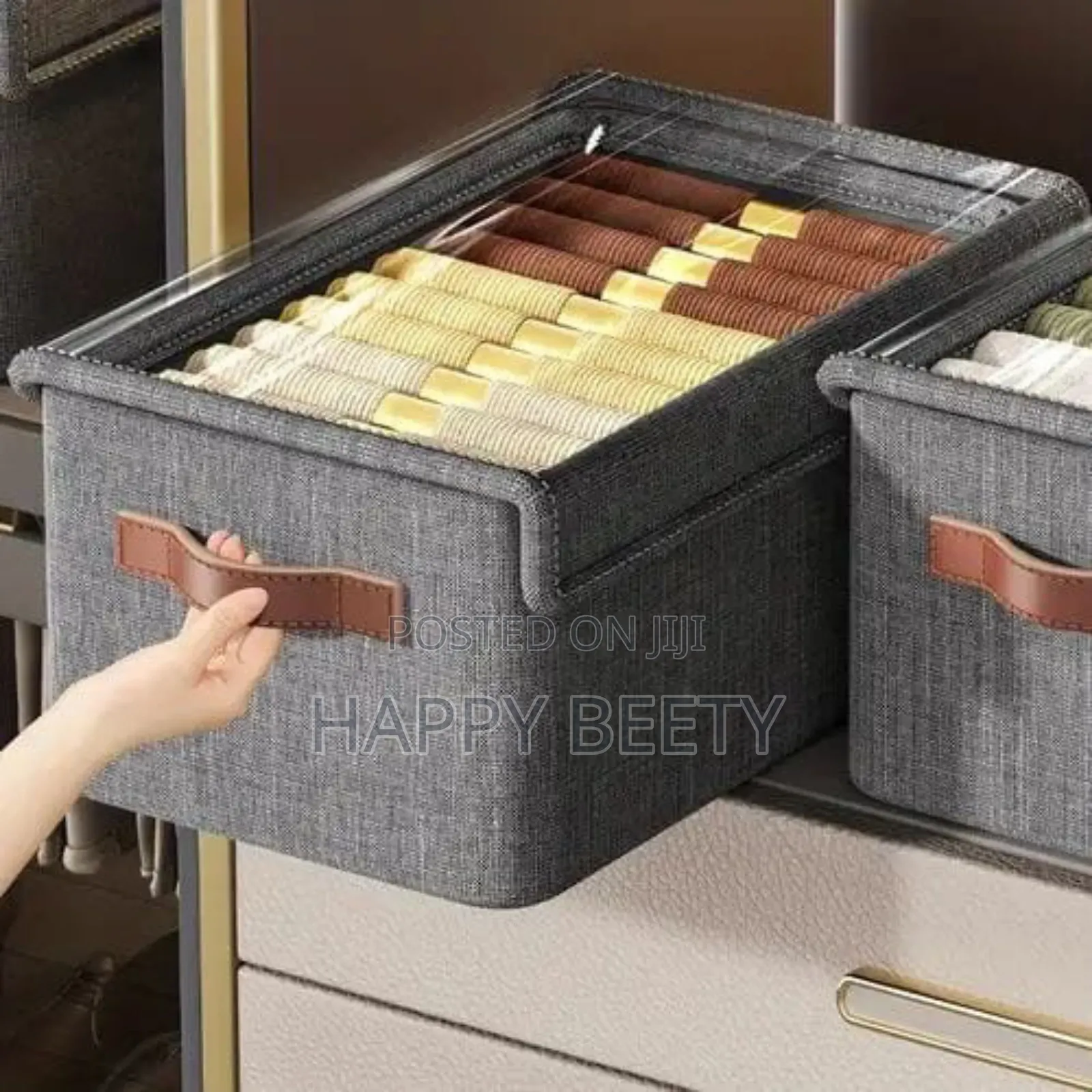 Collapsible Closet Organizer With a Cover