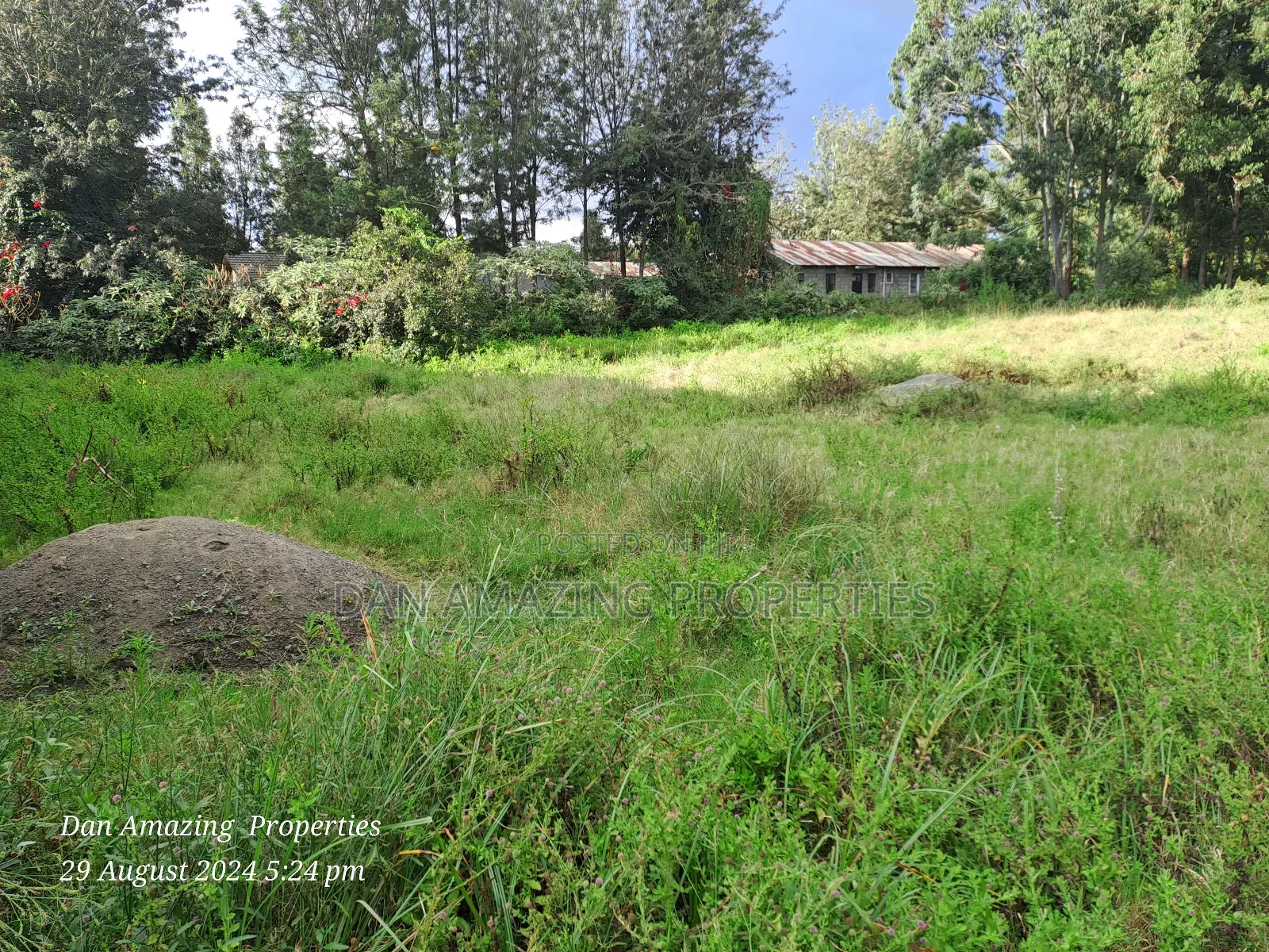 1/4 Acre for Sale in Ngong Memusi 2nd Row From the Tarmac