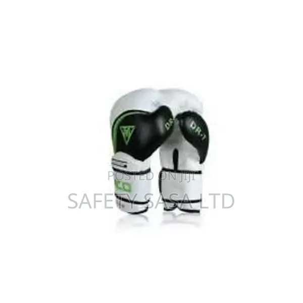 Carmillo Boxing Gloves