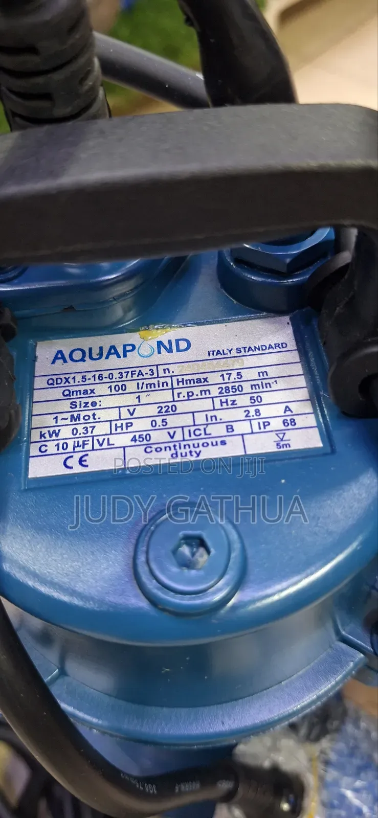 Aquapond 1hp Submersible Pump