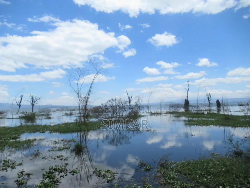 25 Acres of Land in Lake Naivasha