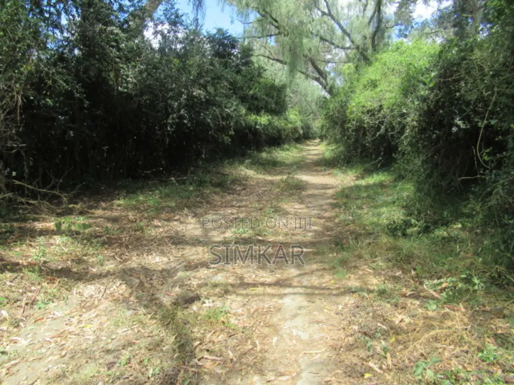 25 Acres of Land in Lake Naivasha