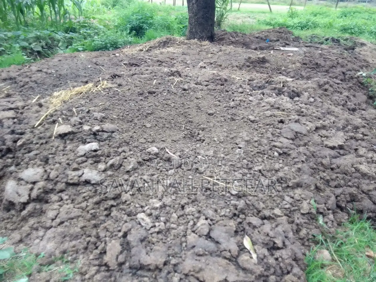 Organic and Pure Pig Manure for Sale in 90kg Sacks