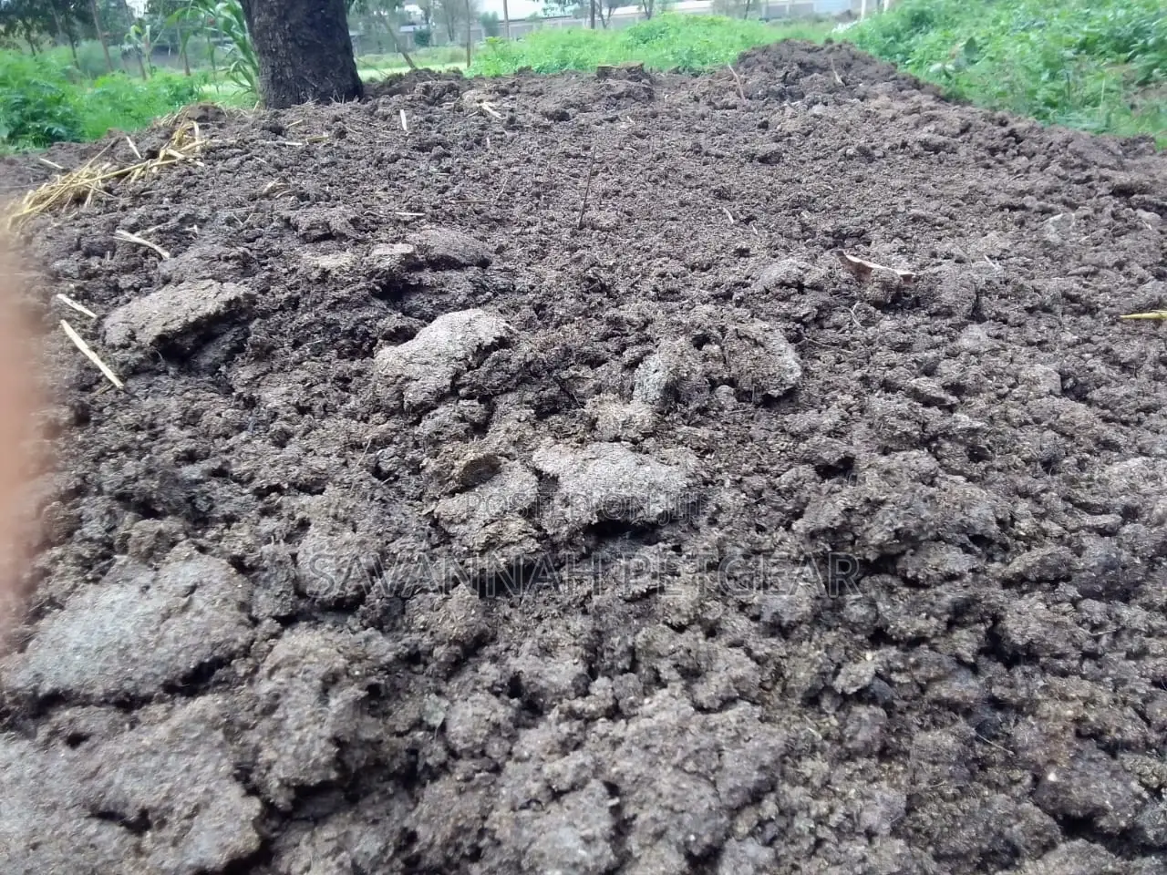 Organic and Pure Pig Manure for Sale in 90kg Sacks