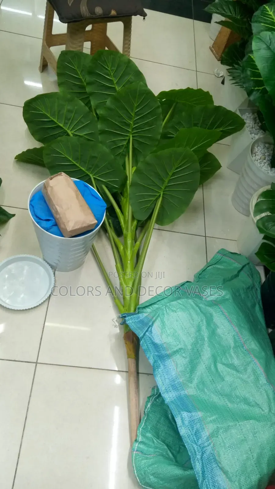 1.6m Long Green Plant on Offer Comes With Plastic Vase