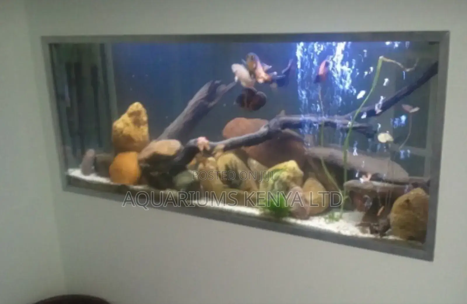Wooden Theme Aquarium , Natural River Scape , Aquarium