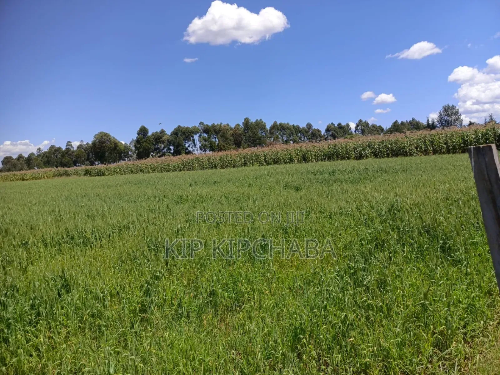 40 Acres Primeland for Sake in Merewet Eldoret
