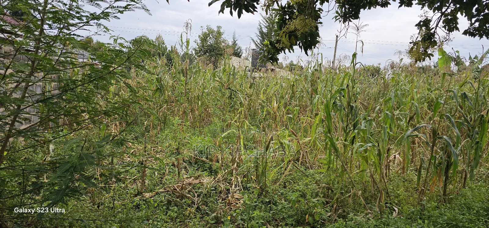 40 Acres Primeland for Sake in Merewet Eldoret
