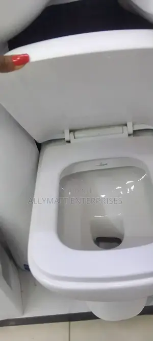 Square Back to Wall Toilet