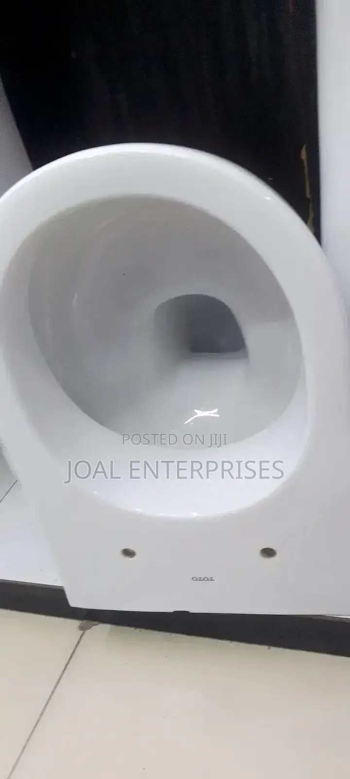 Oval Back to Wall Toilet