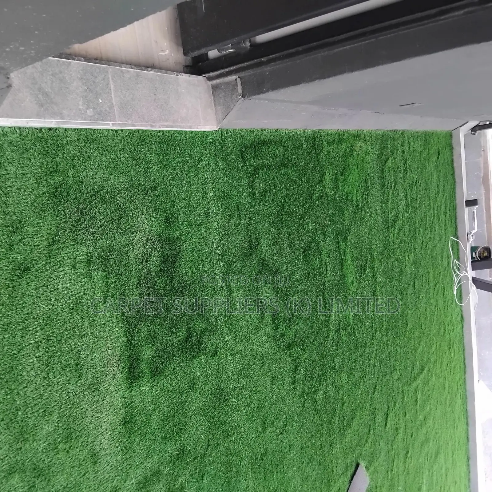 Executivegrass Carpet1