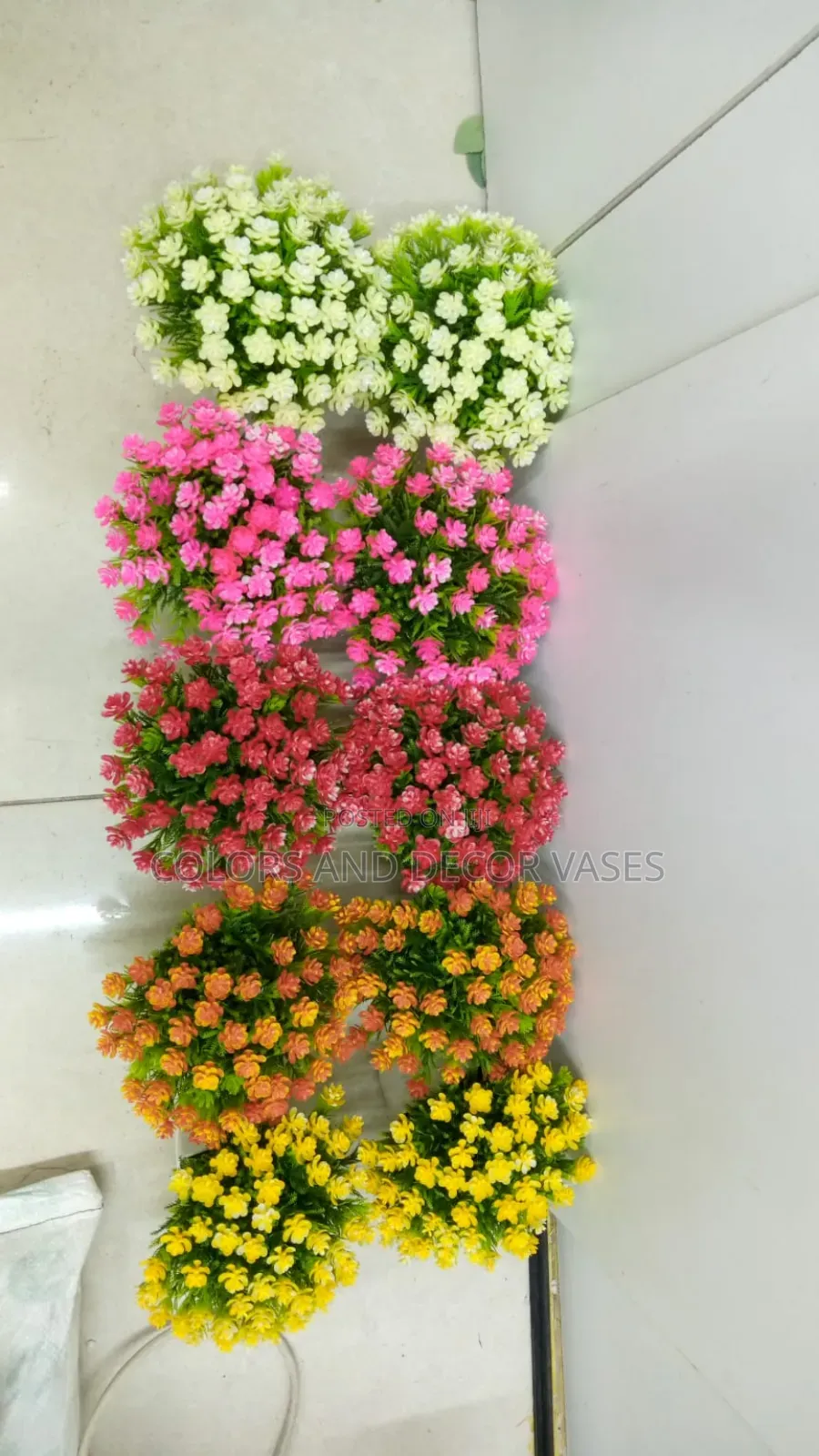 Coloured Bonsai Flowers Available