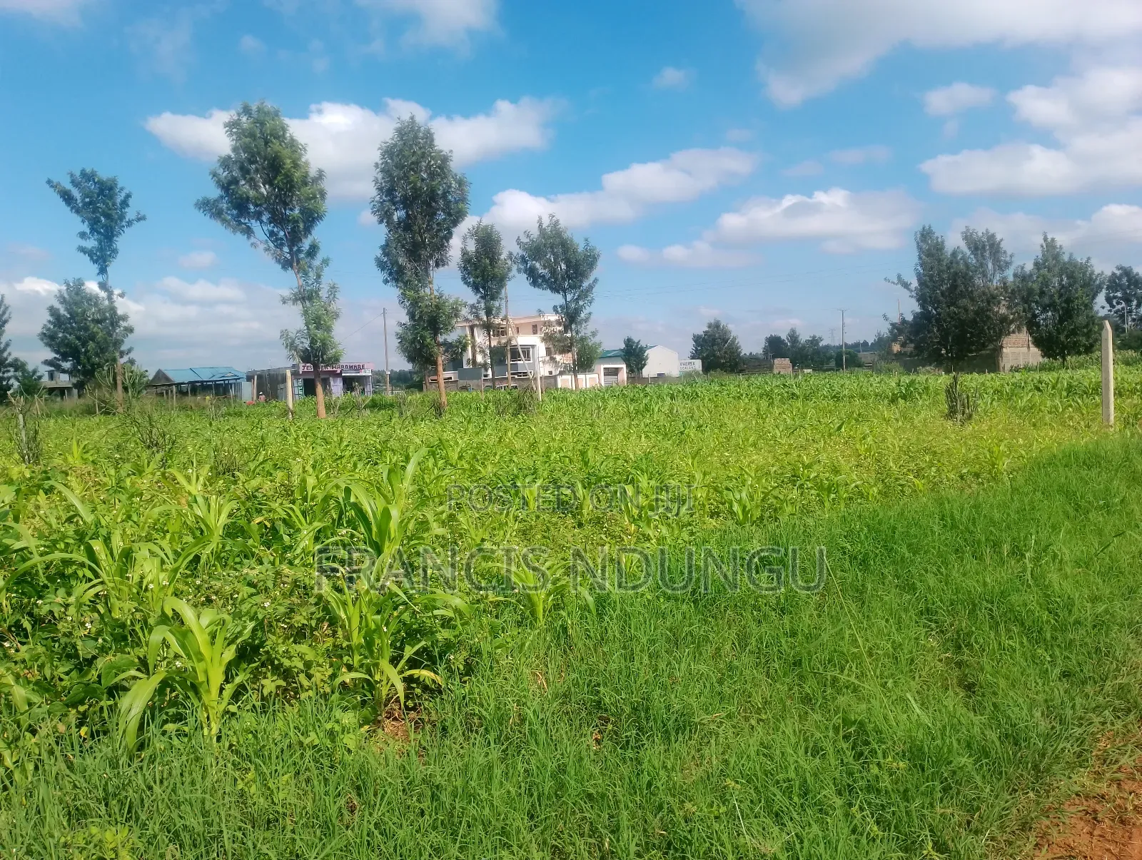 Residential Plots Kiora Estate Kiambu Town.