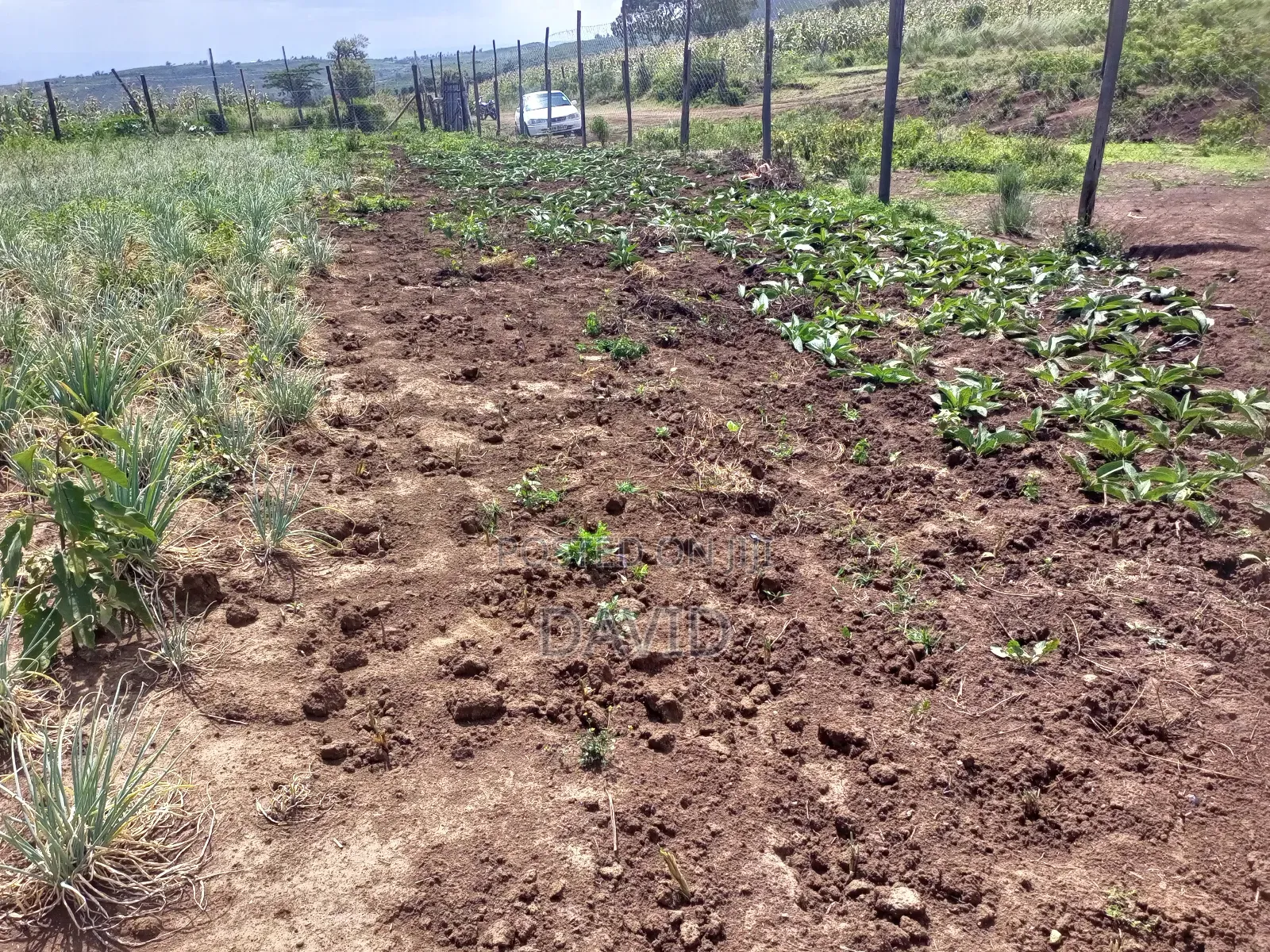 Land for Sale in Gilgil Diatomite