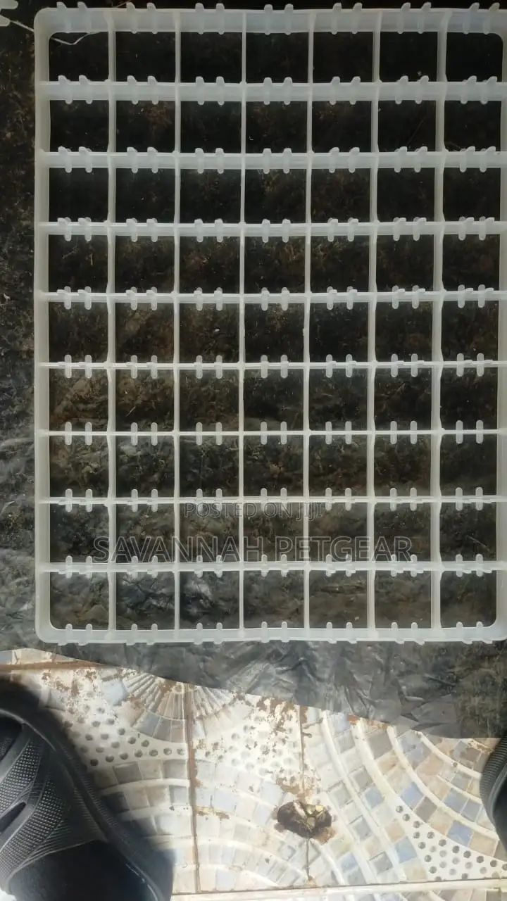Used GOOSE Turkey EMU 63 EGGS Trays for INCUBATORS