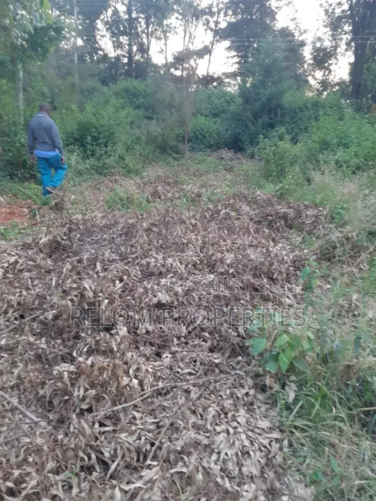 5 Acres of Prime Land for Commercial or Residential in Karen