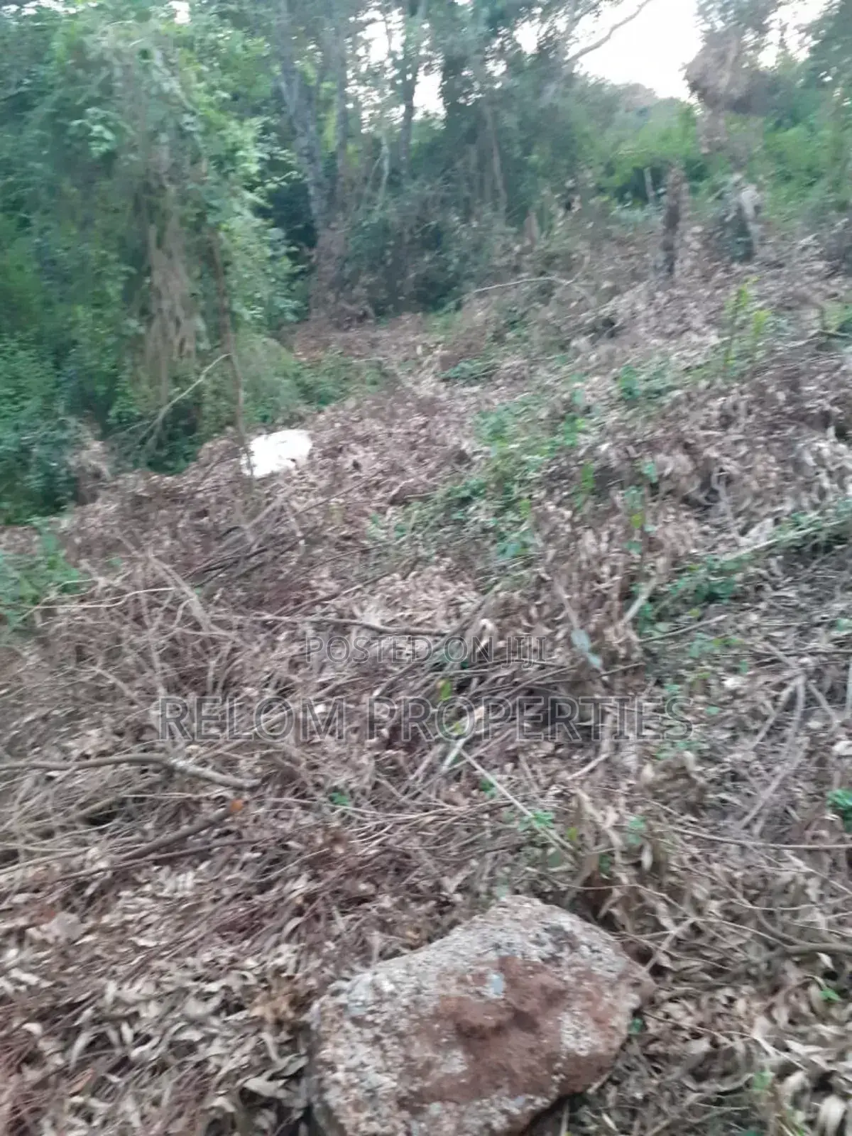 5 Acres of Prime Land for Commercial or Residential in Karen