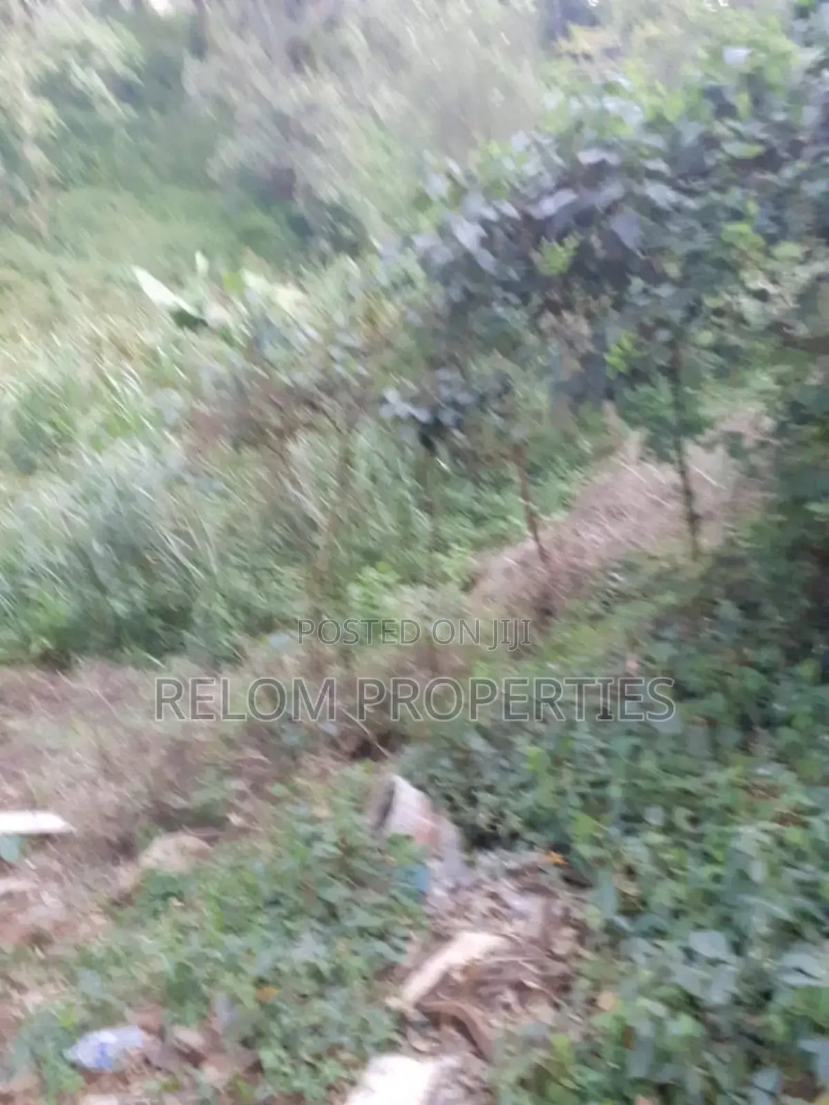 5 Acres of Prime Land for Commercial or Residential in Karen